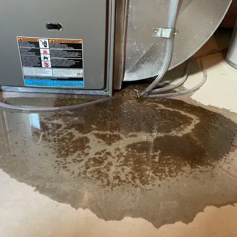 Appliance Leak Cleanup in West Yarmouth, MA